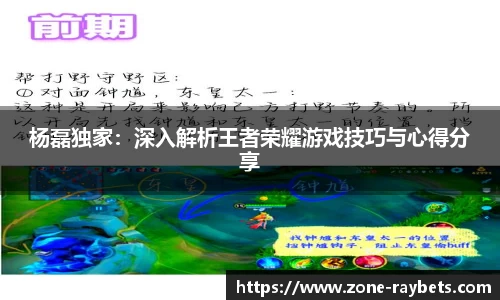杨磊独家：深入解析王者荣耀游戏技巧与心得分享